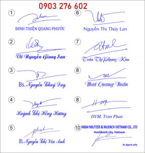 khac dau chu ky hai phong